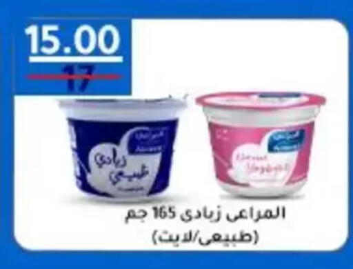 available at Wekalet Elmansoura - Dakahlia  in Egypt - Cairo