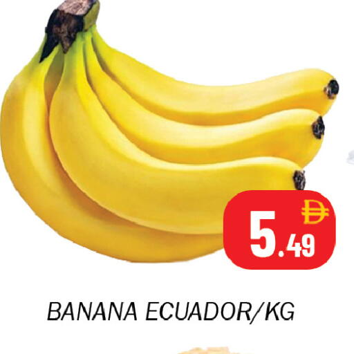 Banana from Ecuador available at سوق المبارك هايبرماركت in الإمارات العربية المتحدة , الامارات - الشارقة / عجمان