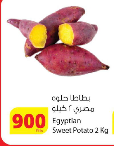 Sweet Potato from Egypt available at Agricultural Food Products Co. in Kuwait - Kuwait City