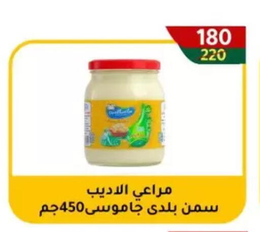 available at Wekalet Elmansoura - Dakahlia  in Egypt - Cairo
