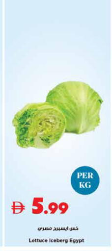 Lettuce from Egypt available at Trolleys Supermarket in UAE - Sharjah / Ajman