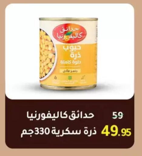 available at Wekalet Elmansoura - Dakahlia  in Egypt - Cairo