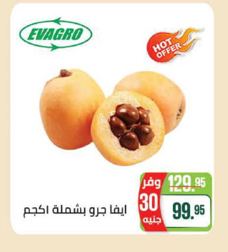available at سعودي سوبرماركت in Egypt - القاهرة