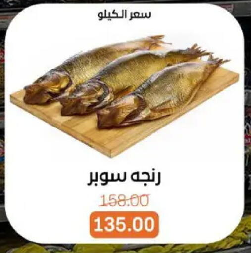 available at بيت الجملة in Egypt - القاهرة