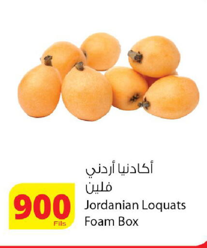 from Jordan available at Agricultural Food Products Co. in Kuwait - Kuwait City