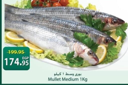 available at سبينس in Egypt - القاهرة