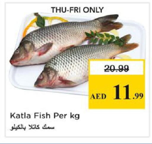 available at نستو هايبرماركت in الإمارات العربية المتحدة , الامارات - رَأْس ٱلْخَيْمَة
