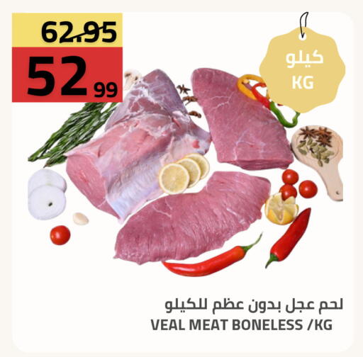 available at Astra Markets in KSA, Saudi Arabia, Saudi - Tabuk