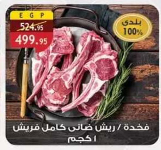 available at Al Rayah Market   in Egypt - Cairo