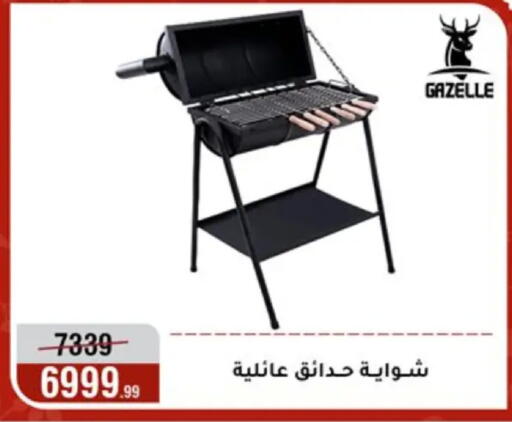 available at Al Morshedy  in Egypt - Cairo