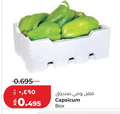 Capsicum available at Lulu Hypermarket  in Kuwait - Kuwait City