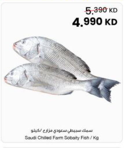 available at The Sultan Center in Kuwait - Ahmadi Governorate