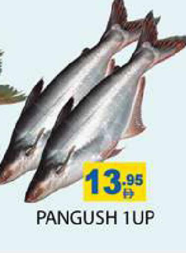 available at Zain Mart Supermarket in UAE - Ras al Khaimah