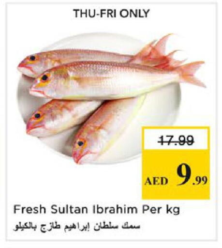 available at نستو هايبرماركت in الإمارات العربية المتحدة , الامارات - رَأْس ٱلْخَيْمَة