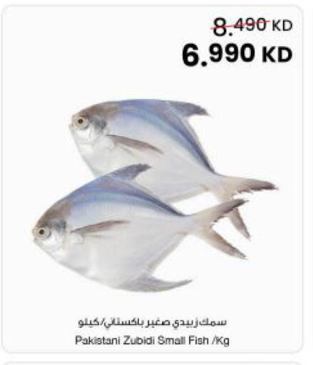 available at The Sultan Center in Kuwait - Ahmadi Governorate