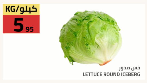 Lettuce available at Astra Markets in KSA, Saudi Arabia, Saudi - Tabuk