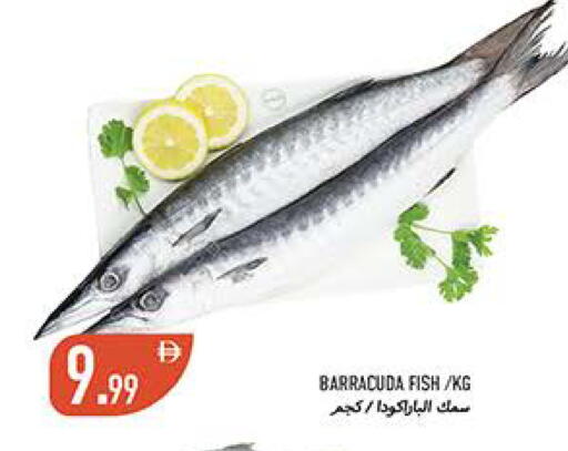available at  روابي ماركت عجمان in الإمارات العربية المتحدة , الامارات - الشارقة / عجمان