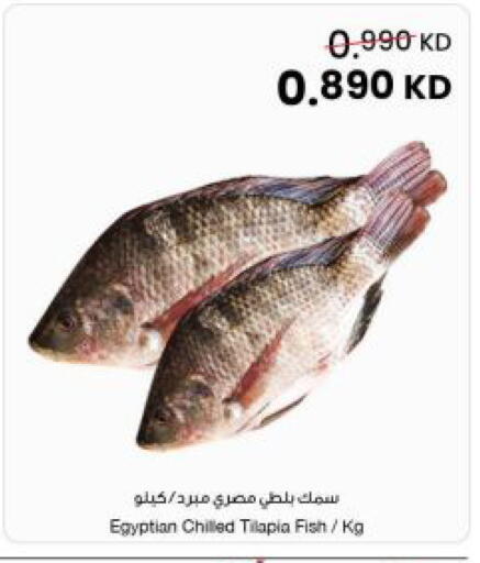 available at The Sultan Center in Kuwait - Ahmadi Governorate