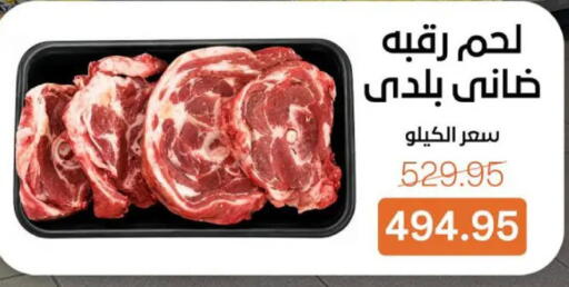 available at بيت الجملة in Egypt - القاهرة