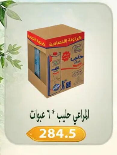 available at Hyper Samy Salama Sons in Egypt - Cairo
