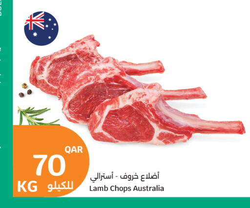 available at سيتي هايبرماركت in قطر - الضعاين