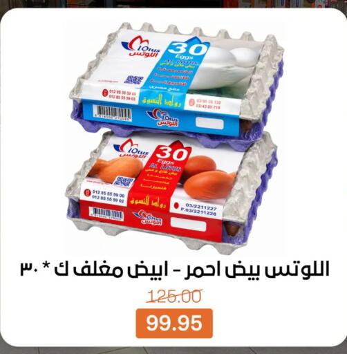 available at بيت الجملة in Egypt - القاهرة