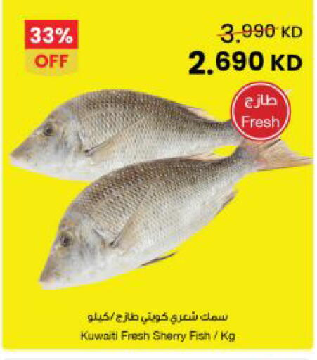 available at The Sultan Center in Kuwait - Ahmadi Governorate