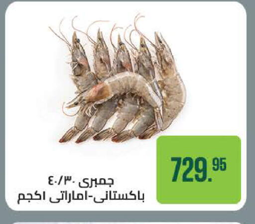 available at سعودي سوبرماركت in Egypt - القاهرة
