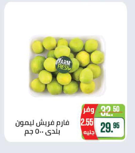 available at سعودي سوبرماركت in Egypt - القاهرة