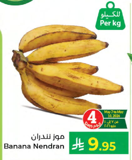 Banana available at Kabayan Hypermarket in KSA, Saudi Arabia, Saudi - Jeddah