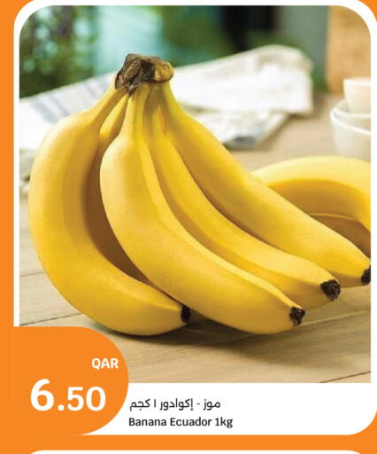 Banana from Ecuador available at سيتي هايبرماركت in قطر - الشمال