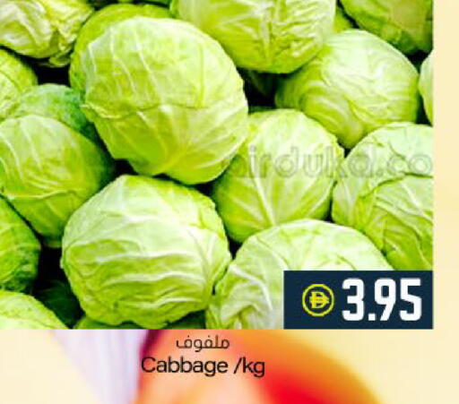 Cabbage available at ميم ساجدة in الإمارات العربية المتحدة , الامارات - ٱلْفُجَيْرَة‎