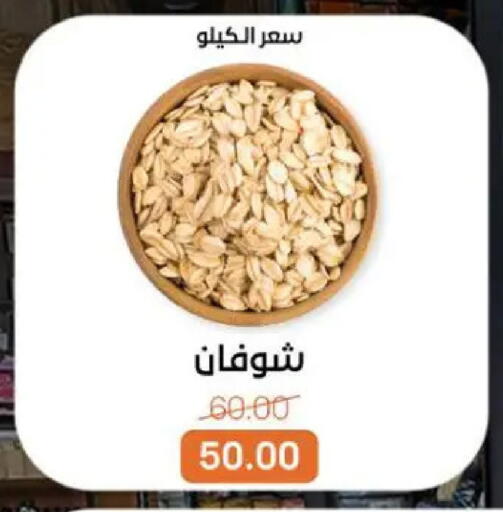 available at بيت الجملة in Egypt - القاهرة