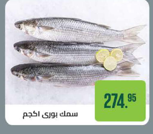 available at سعودي سوبرماركت in Egypt - القاهرة