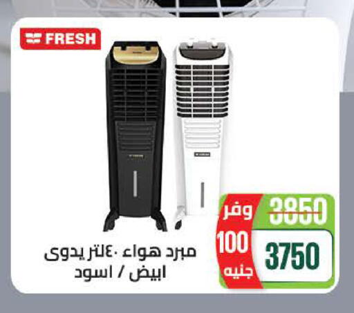 available at Seoudi Supermarket in Egypt - Cairo