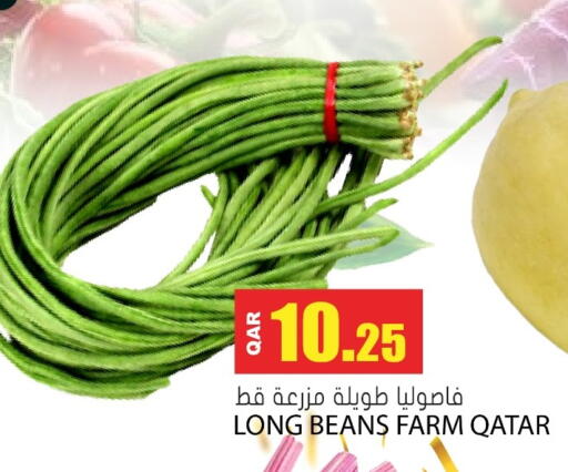 from Qatar available at جراند هايبرماركت in قطر - الضعاين