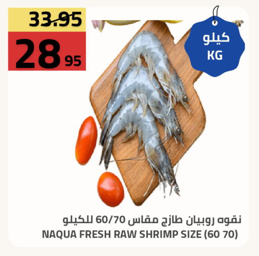 available at Astra Markets in KSA, Saudi Arabia, Saudi - Tabuk