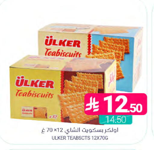 available at Muntazah Markets in KSA, Saudi Arabia, Saudi - Dammam