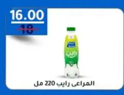 available at Wekalet Elmansoura - Dakahlia  in Egypt - Cairo