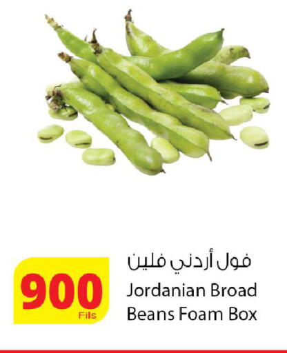 from Jordan available at Agricultural Food Products Co. in Kuwait - Kuwait City