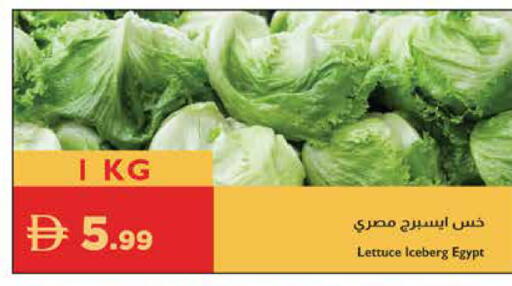 Lettuce from Egypt available at Istanbul Supermarket in UAE - Sharjah / Ajman