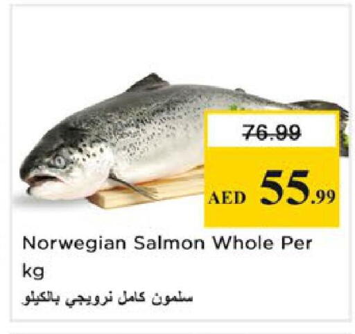 available at نستو هايبرماركت in الإمارات العربية المتحدة , الامارات - رَأْس ٱلْخَيْمَة