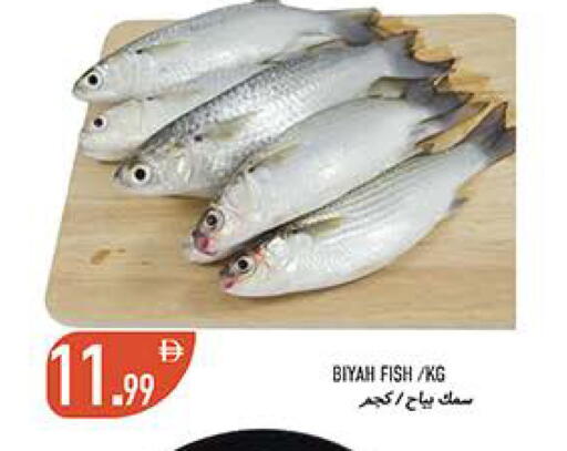 available at  روابي ماركت عجمان in الإمارات العربية المتحدة , الامارات - الشارقة / عجمان