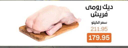 available at بيت الجملة in Egypt - القاهرة