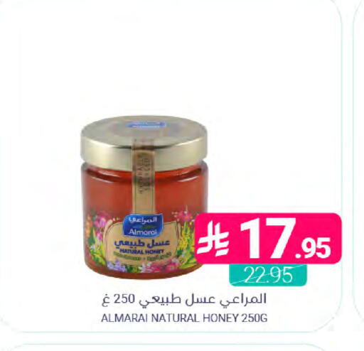 available at Muntazah Markets in KSA, Saudi Arabia, Saudi - Dammam
