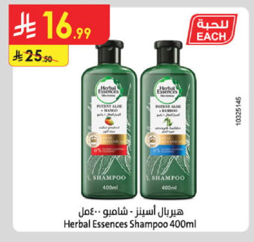 Mango available at الدانوب in مملكة العربية السعودية, السعودية, سعودية - تبوك
