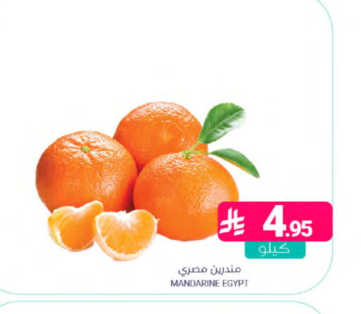 from Egypt available at Muntazah Markets in KSA, Saudi Arabia, Saudi - Dammam