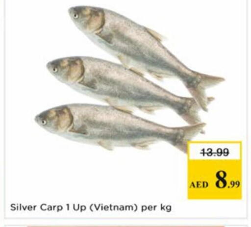 available at نستو هايبرماركت in الإمارات العربية المتحدة , الامارات - دبي