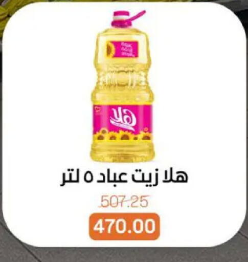 available at بيت الجملة in Egypt - القاهرة