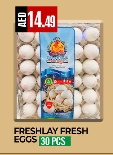 available at  RIVIERA SUPERMARKET L.L.C in UAE - Abu Dhabi